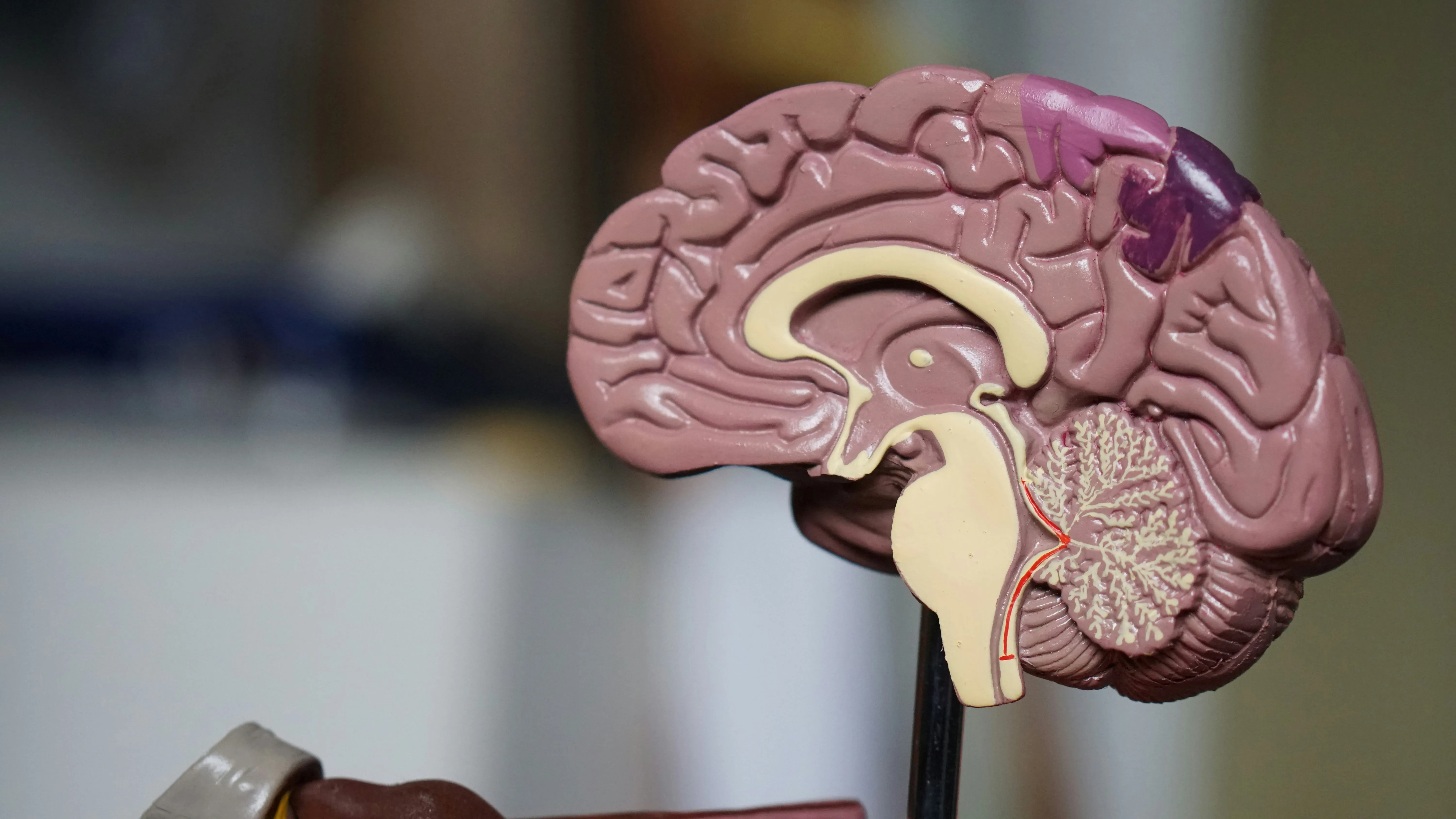 Tecnologia de simulação 3D para implantes dentários